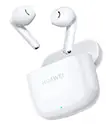 ear buds